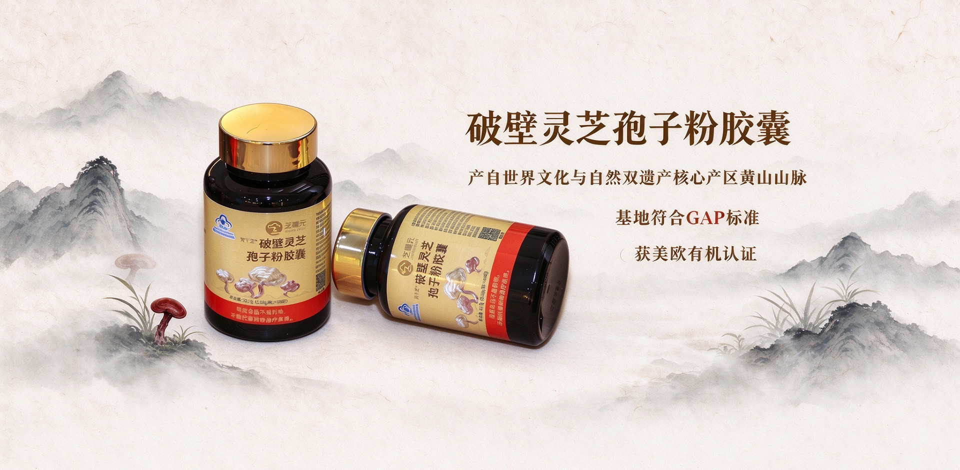 不只是产品，更是一种健康生活方式